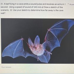 A bat flying in a cave emits a sound