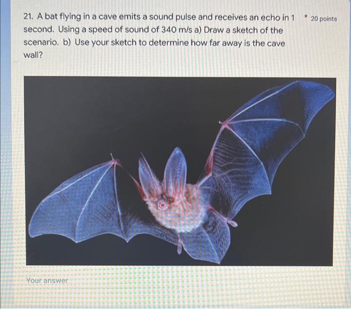 A bat flying in a cave emits a sound