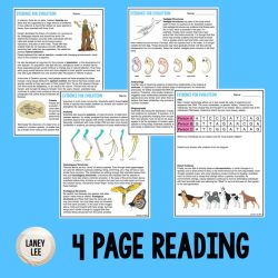 Fossil evidence of evolution worksheet