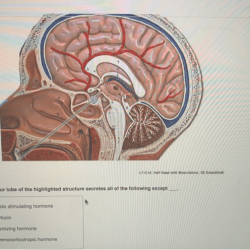 Solved problem been has highlighted