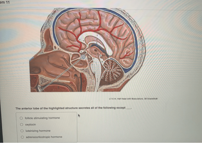 Solved problem been has highlighted