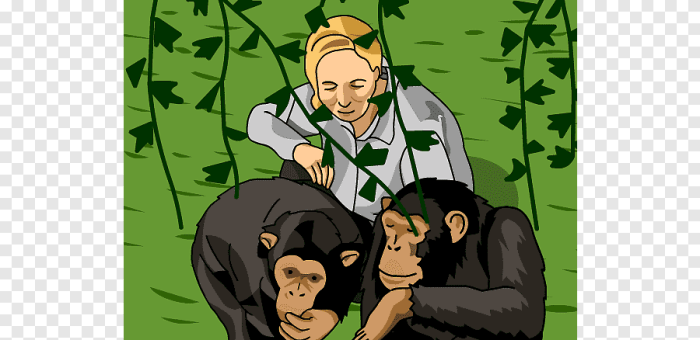 My life with chimpanzees summary